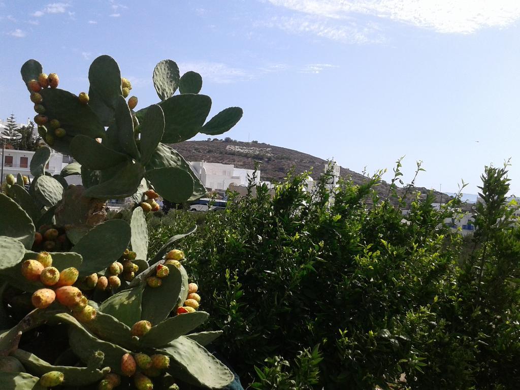 Matilda Milos - Cycladic Living Apartman Triovászalosz Kültér fotó